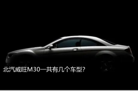 北汽威旺M30一共有几个车型？