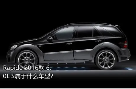 Rapide 2016款 6.0L S属于什么车型？