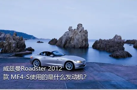 威兹曼Roadster 2012款 MF4-S使用的是什么发动机？