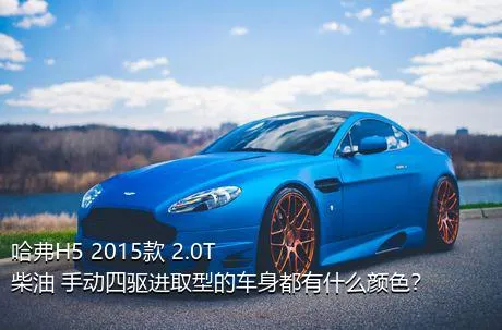 哈弗H5 2015款 2.0T 柴油 手动四驱进取型的车身都有什么颜色？