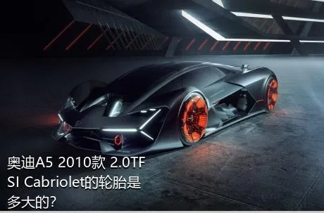奥迪A5 2010款 2.0TFSI Cabriolet的轮胎是多大的？