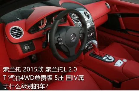 索兰托 2015款 索兰托L 2.0T 汽油4WD尊贵版 5座 国IV属于什么级别的车？