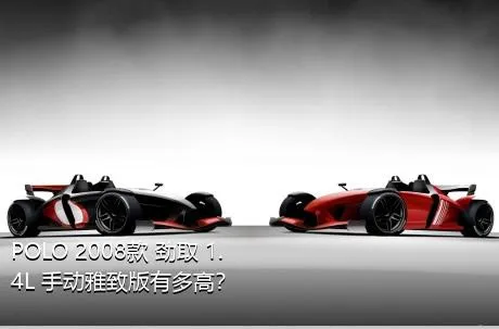 POLO 2008款 劲取 1.4L 手动雅致版有多高？
