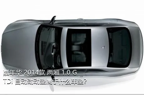 嘉年华 2014款 两厢 1.0 GTDi 自动劲动型属于什么车型？