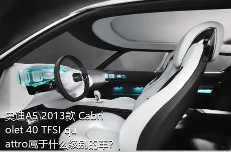 奥迪A5 2013款 Cabriolet 40 TFSI quattro属于什么级别的车？