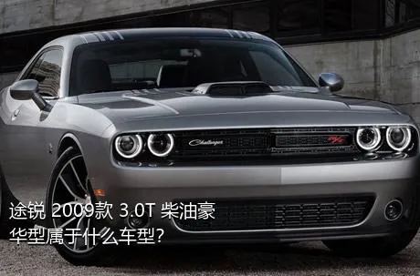 途锐 2009款 3.0T 柴油豪华型属于什么车型？
