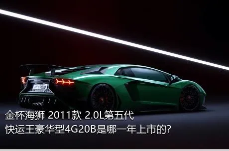 金杯海狮 2011款 2.0L第五代快运王豪华型4G20B是哪一年上市的？