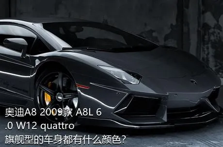 奥迪A8 2009款 A8L 6.0 W12 quattro 旗舰型的车身都有什么颜色？