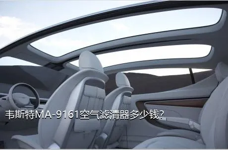 韦斯特MA-9161空气滤清器多少钱？