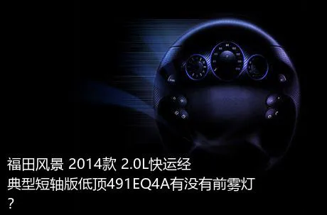 福田风景 2014款 2.0L快运经典型短轴版低顶491EQ4A有没有前雾灯？