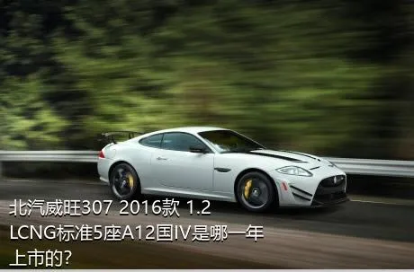 北汽威旺307 2016款 1.2LCNG标准5座A12国IV是哪一年上市的？