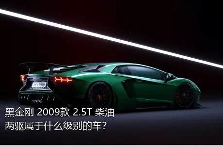黑金刚 2009款 2.5T 柴油两驱属于什么级别的车？