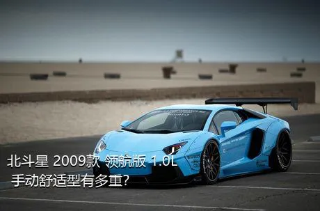 北斗星 2009款 领航版 1.0L 手动舒适型有多重？