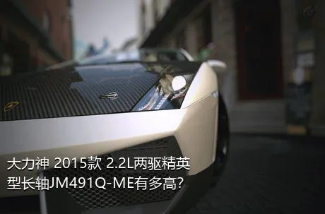 大力神 2015款 2.2L两驱精英型长轴JM491Q-ME有多高？