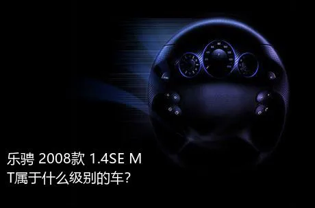 乐骋 2008款 1.4SE MT属于什么级别的车？
