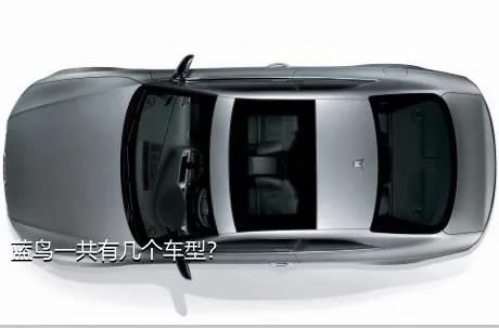 蓝鸟一共有几个车型？