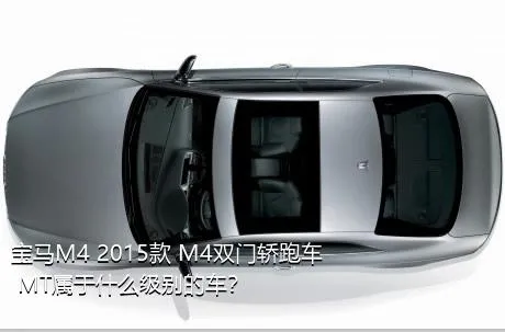 宝马M4 2015款 M4双门轿跑车 MT属于什么级别的车？