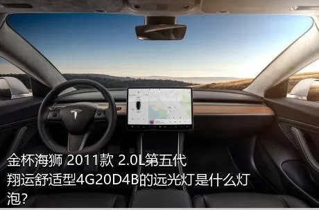 金杯海狮 2011款 2.0L第五代翔运舒适型4G20D4B的远光灯是什么灯泡？