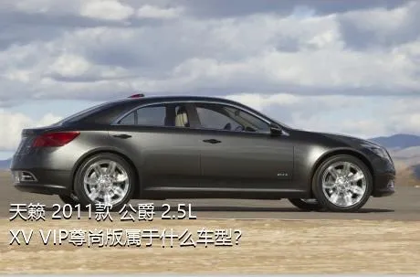 天籁 2011款 公爵 2.5L XV VIP尊尚版属于什么车型？