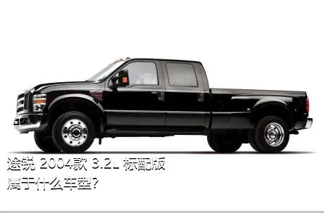 途锐 2004款 3.2L 标配版属于什么车型？