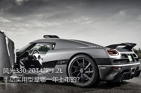风光330 2014款 1.2L手动实用型是哪一年上市的？