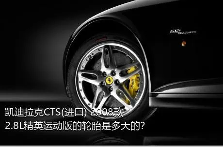 凯迪拉克CTS(进口) 2008款 2.8L精英运动版的轮胎是多大的？