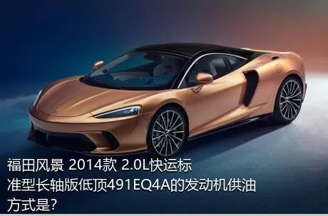 福田风景 2014款 2.0L快运标准型长轴版低顶491EQ4A的发动机供油方式是？