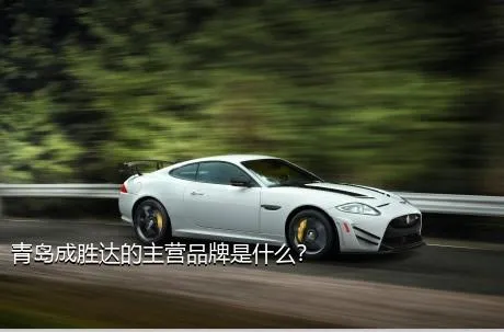 青岛成胜达的主营品牌是什么？