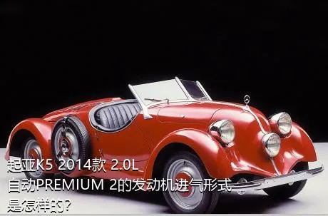 起亚K5 2014款 2.0L 自动PREMIUM 2的发动机进气形式是怎样的？