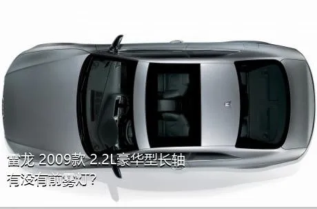 雷龙 2009款 2.2L豪华型长轴有没有前雾灯？
