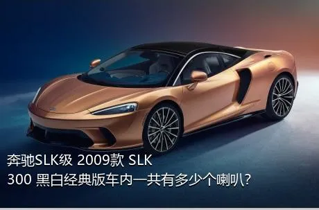 奔驰SLK级 2009款 SLK 300 黑白经典版车内一共有多少个喇叭？