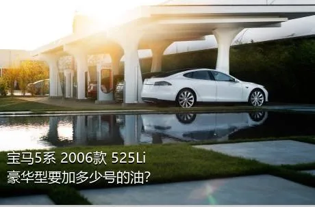 宝马5系 2006款 525Li 豪华型要加多少号的油？