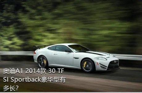 奥迪A1 2014款 30 TFSI Sportback豪华型有多长？