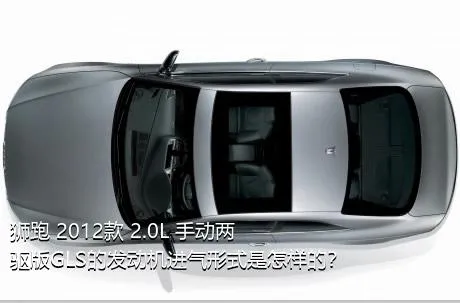 狮跑 2012款 2.0L 手动两驱版GLS的发动机进气形式是怎样的？