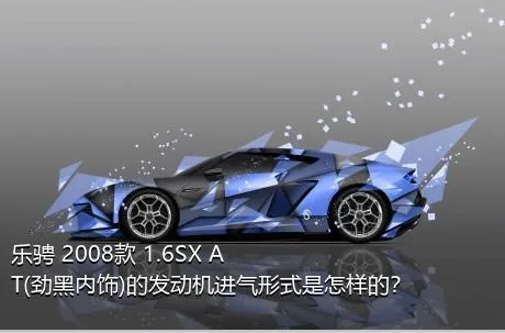 乐骋 2008款 1.6SX AT(劲黑内饰)的发动机进气形式是怎样的？