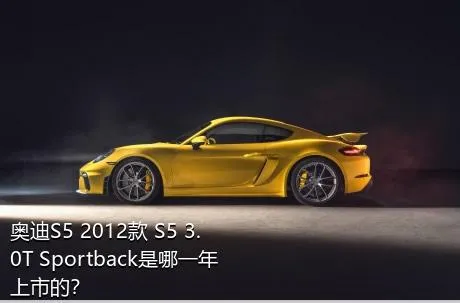 奥迪S5 2012款 S5 3.0T Sportback是哪一年上市的？