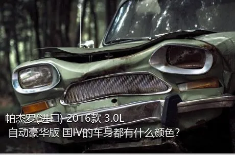 帕杰罗(进口) 2016款 3.0L 自动豪华版 国IV的车身都有什么颜色？