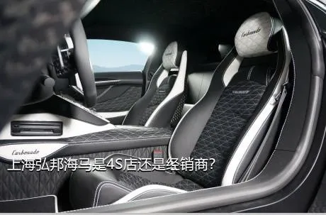 上海弘邦海马是4S店还是经销商？