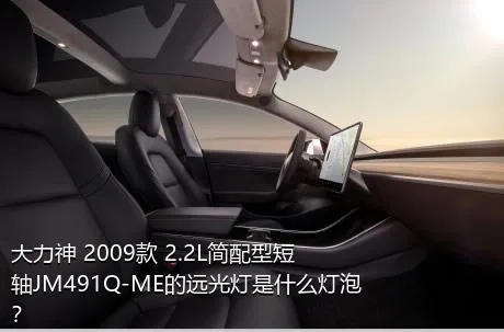 大力神 2009款 2.2L简配型短轴JM491Q-ME的远光灯是什么灯泡？