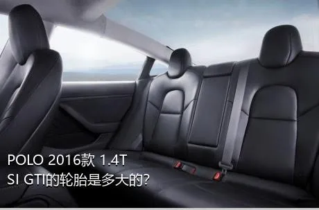 POLO 2016款 1.4TSI GTI的轮胎是多大的？