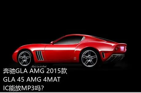 奔驰GLA AMG 2015款 GLA 45 AMG 4MATIC能放MP3吗？