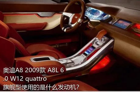奥迪A8 2009款 A8L 6.0 W12 quattro 旗舰型使用的是什么发动机？