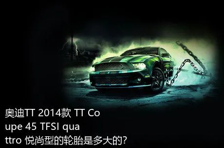 奥迪TT 2014款 TT Coupe 45 TFSI quattro 悦尚型的轮胎是多大的？