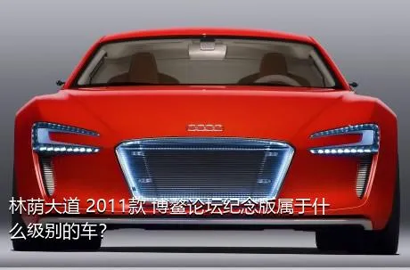 林荫大道 2011款 博鳌论坛纪念版属于什么级别的车？