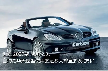 世嘉 2009款 两厢 2.0L 自动豪华天窗型使用的是多大排量的发动机？