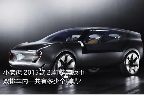 小老虎 2015款 2.4T精英版中双排车内一共有多少个喇叭？