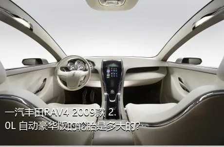一汽丰田RAV4 2009款 2.0L 自动豪华版的轮胎是多大的？