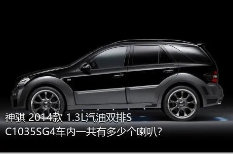 神骐 2014款 1.3L汽油双排SC1035SG4车内一共有多少个喇叭？