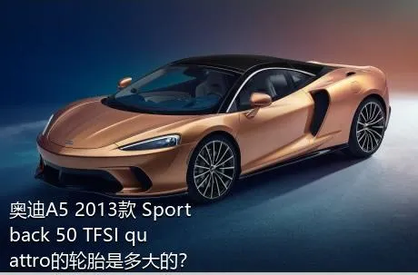 奥迪A5 2013款 Sportback 50 TFSI quattro的轮胎是多大的？
