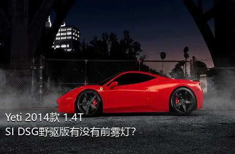 Yeti 2014款 1.4TSI DSG野驱版有没有前雾灯？